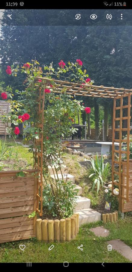 Apartment Gartenblick Нойнкирхен Екстериор снимка