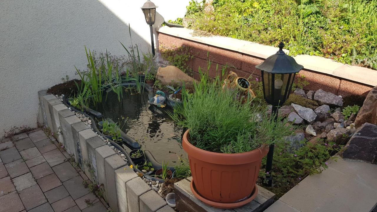 Apartment Gartenblick Нойнкирхен Екстериор снимка